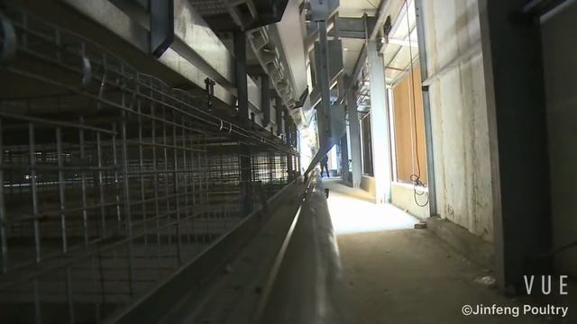 H type broiler meat chicken cage смотреть онлайн