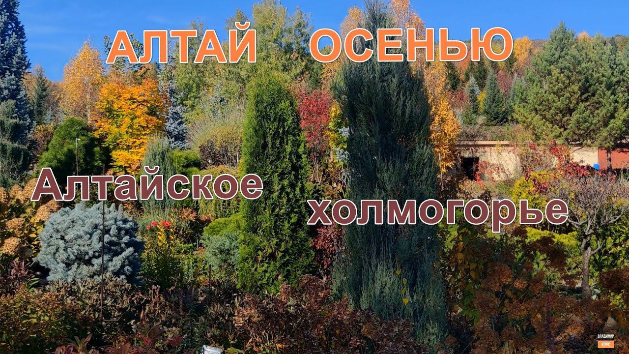 Алтайское холмогорье осенью смотреть онлайн