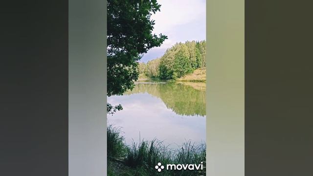 Река Воря Абрамцево смотреть онлайн