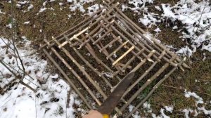 ЛОВУШКА ПИРАМИДА НА ФАЗАНА | Ловил ФАЗАНА , а поймал ЗАЙЦА | Как сделать ловушку?