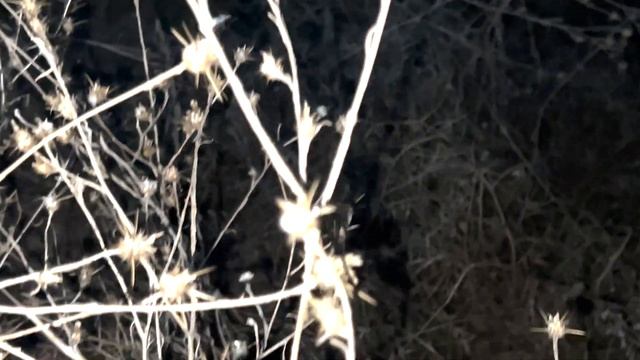 Молитва, молитвы и много молитв... смотреть онлайн