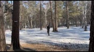 Как измерить высоту дерева