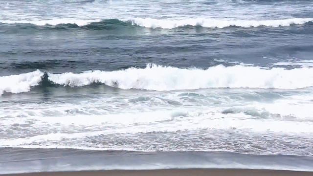 Dan Gibson’s Solitudes - Free Spirit | Angels of the Sea смотреть онлайн