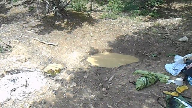 Крым.ДОМ ДИКИХ КАБАНОВ. смотреть онлайн