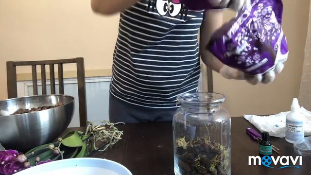 Пересадка моих новых орхидей часть 2. смотреть онлайн