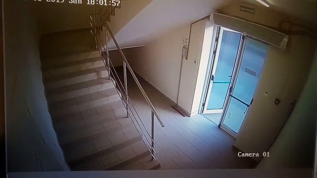 Увеличиваем потери магазина путем выноса неоплаченного товара, путём кражи. смотреть онлайн