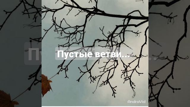 Пустые ветви... авторские стихи.. живое чтение смотреть онлайн