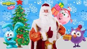 СМЕШАРИКИ: Дедушка Мороз и пропавшие подарки!