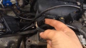 Партнёр Берлинго, глохнет, дергается, потеря мощности. решение проблемы.