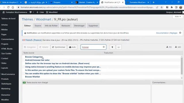 Salam Plugin #1? - Loco Translate pour traduire vos thèmes et plugins WordPress смотреть онлайн