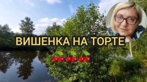 ВСЯ ПРАВДА ОТ ДОМАШНЕЙ НЕЗАБУДКИ. ПИРАТСКАЯ ЖИЗНЬ/ДОМАШНЯЯ НЕЗАБУДКА/ИРИНА ВЕТРОВА.