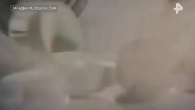 Загадки человечества с Олегом Шишкиным выпуск 75 от 25.10.2017 смотреть онлайн