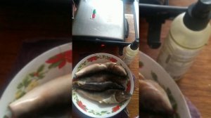 Терпух гриль. Как приготовить рыбу в электро гриле