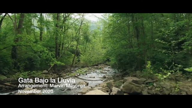 La Gata Bajo la Lluvia Rocio Dúrcal Kontakt Native Instruments - NOIRE PIANO - смотреть онлайн