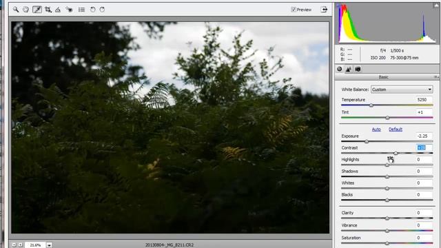 Photoshop Elements RAW file magic смотреть онлайн