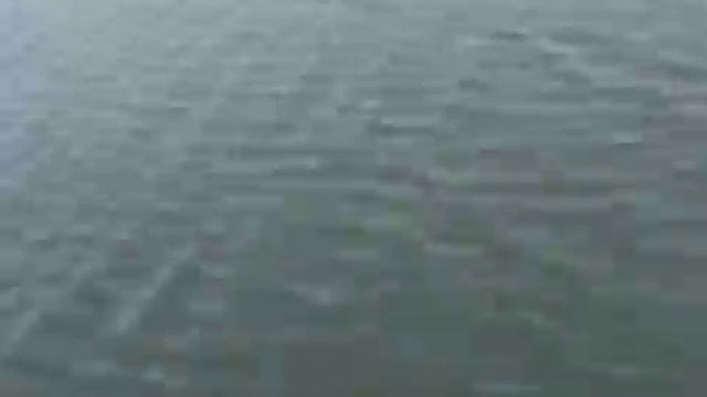 Тестирование лодки Адмирал боат 375 с подвесным мотором Sea Pro 5 л с смотреть онлайн