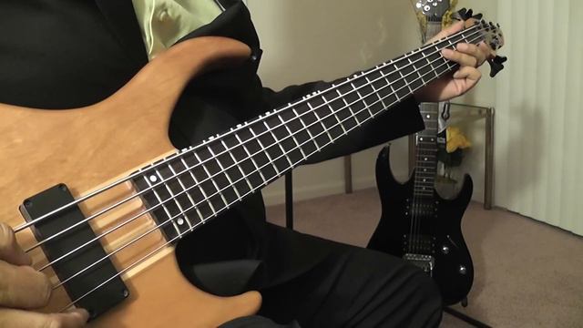 Monkberry Moon Deligth - Paul Mccartney - (Bass Cover) смотреть онлайн