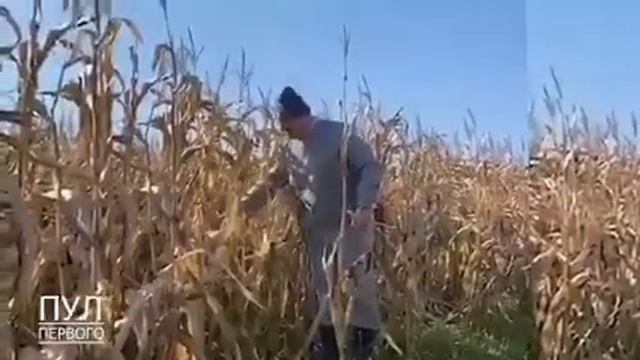 Лукашенко в выходные ездил на мотоцикле, общался с местными жителями. С ним сын Николай и шпиц Умка смотреть онлайн