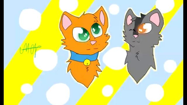 Коты-Воители Крутобок и Огнезвёзд