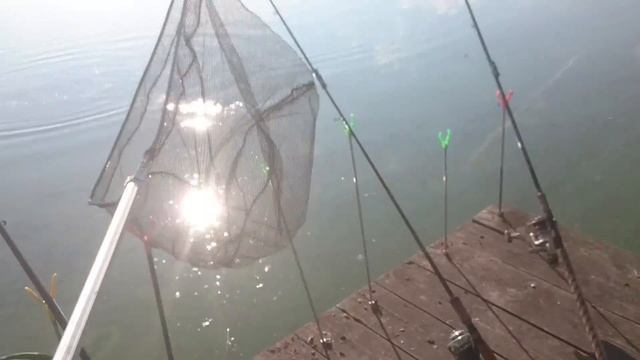 Рыбалка на карпа на вд.Межура Калужской обл смотреть онлайн