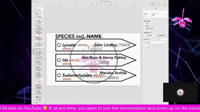🎤What's in a name? Orchid Names / Labels Deep Dive | Who IS your orchid? #ninjaorchids смотреть онлайн