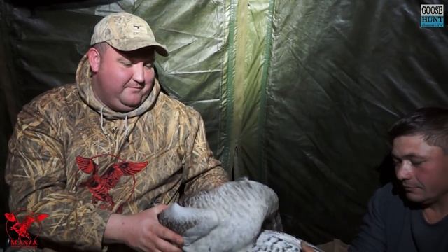 Охота на серого гуся..Декабрь.Greylag goose hunting смотреть онлайн