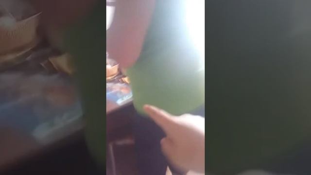 Роблокс мэд сити можно зайти (почему нельзя) смотреть онлайн
