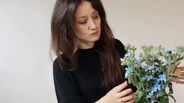 ОКСИПЕТАЛУМ, КАК С НИМ РАБОТАТЬ?