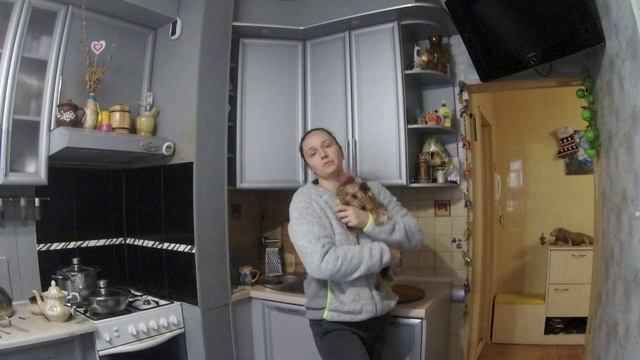 ЖЕЛАТИНОВЫЕ СУХОЖИЛЬНЫЕ КОСТОЧКИ ДЛЯ СОБАК. Важные моменты. смотреть онлайн