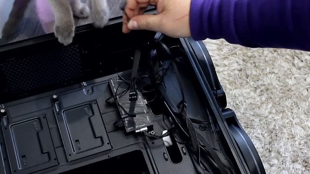 ТОП?СБОРКА ЗА КОПЕЙКИ, Тащит всё на Ультрах! ЗАЦЕНИ! смотреть онлайн