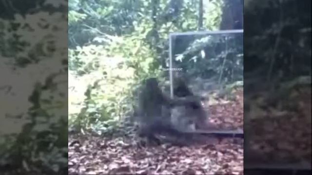 When you see your butt for the first time L.L смотреть онлайн