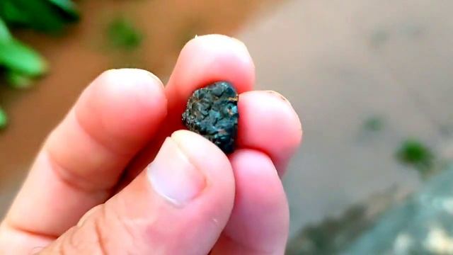 Gold monster 1000 found metal's from two day , смотреть онлайн