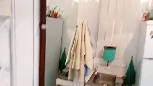 Готов к продаже шикарный дом с садом своей пасекой! смотреть онлайн