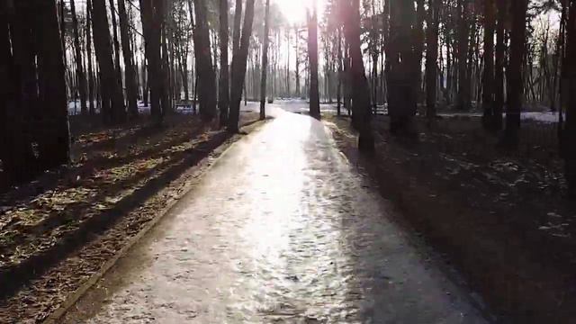 Schwalbe Winter studded bicycle tire test on ice смотреть онлайн