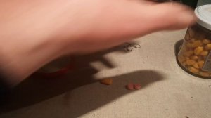 Самые уловистые ПОП-АП своими руками, купил за копейки и хватит на всю жизнь.