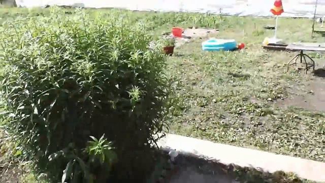 База канала "я и мой хвост" экскурсия смотреть онлайн