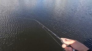 ОШИБКИ Начинающего Спиннингиста!  СПИННИНГ ДЛЯ НАЧИНАЮЩЕГО!  Длинна!  Тест! Строй!