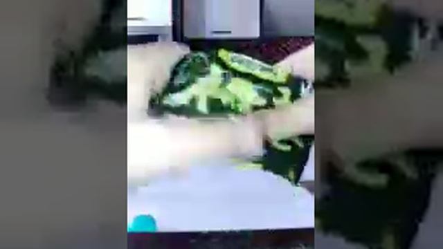 шоколадные яйцо с сюрпризом Дино-парк 2017! Alex Kinder Toys смотреть онлайн