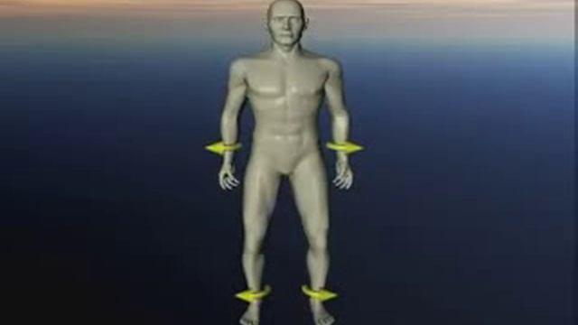 Краниосакральный ритм. Флексия и экстензия в теле человека. Краниосакральная система. смотреть онлайн