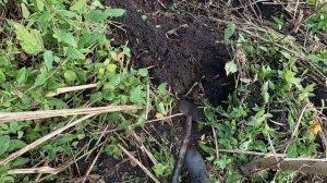 День цепей! МЕТАЛО КОП