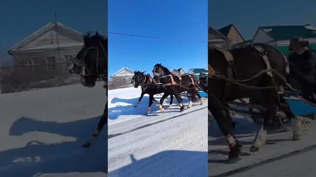 3 января 2023 г. смотреть онлайн