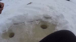 На рыбалку с дедом. Рыбалка на Оби.