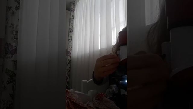 Как обнаружить клещей в папиной подушке смотреть онлайн