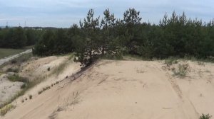 НОВЫЕ КОЛЕСА НА НИВУ!!! Форвард сафари 540 FORWARD SAFARI 540, Обзор Лучшая резина за свои деньги