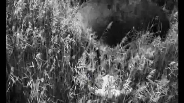 Выдыхай смотреть онлайн