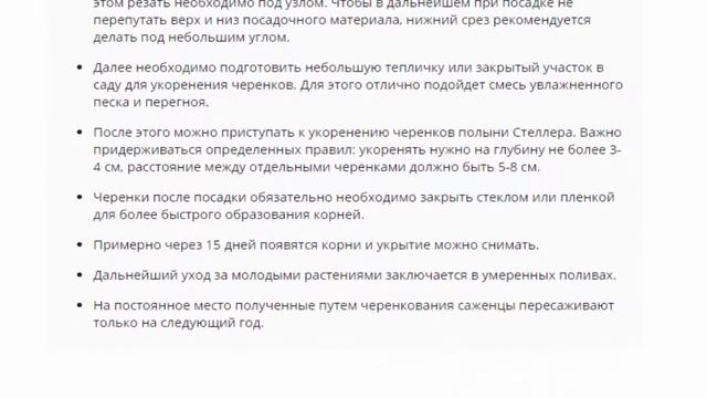 Полынь Стеллера, посадка и уход смотреть онлайн