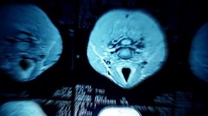 Монток - Более странный город, чем любая художественная литература...