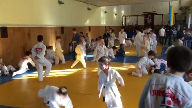 Занятия Дзюдо смотреть онлайн