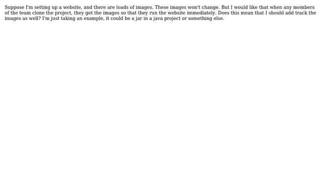 Software Engineering: Include ignored file in the git repository смотреть онлайн