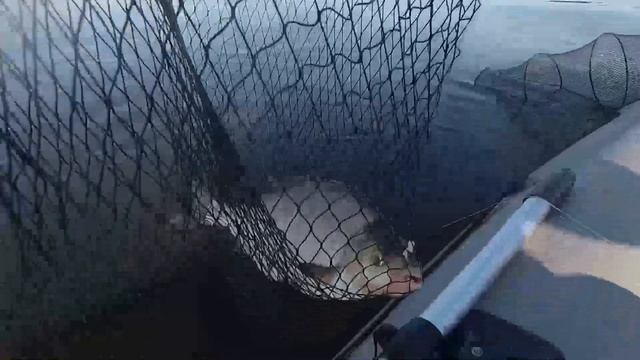 РЫБАЛКА НА ФАРВАТЕРЕ! СНАСТЬ КОЛЬЦО! РЫБАЛКА НА РЕКЕ ВОЛГА ЧАСТЬ 2! смотреть онлайн